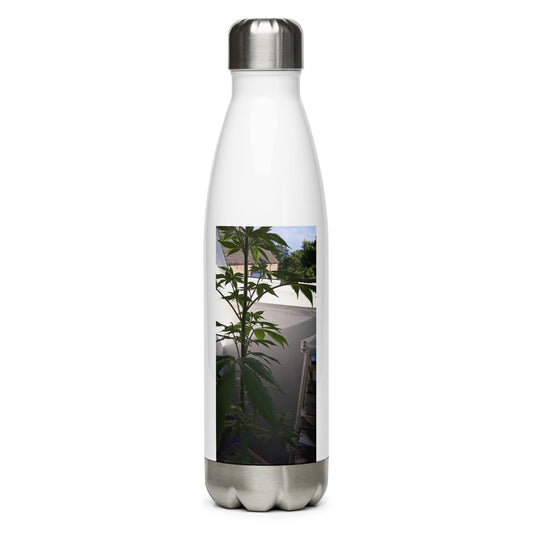 Stainless Steel Water Bottle