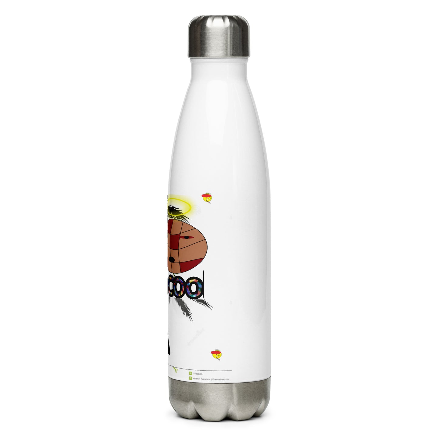 Stainless Steel Water Bottle