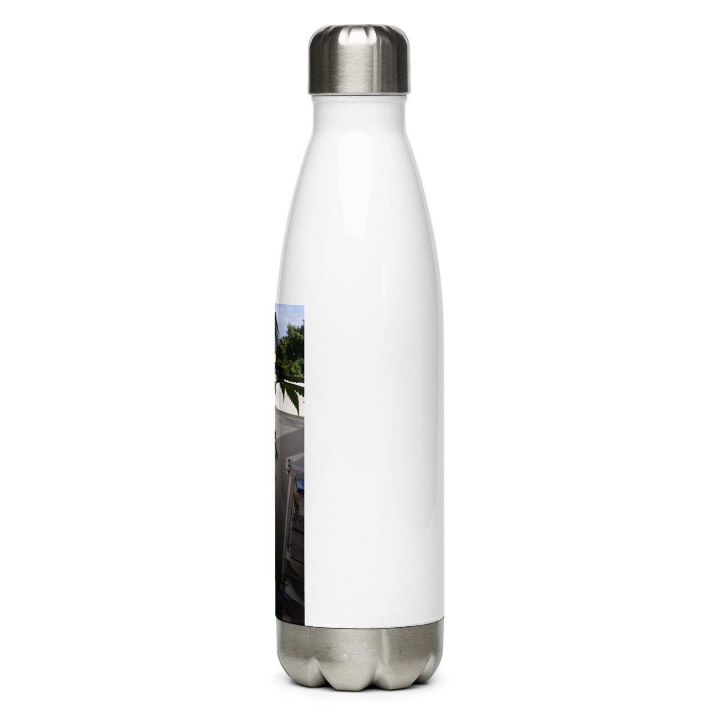 Stainless Steel Water Bottle